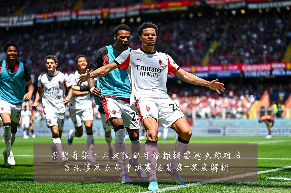 东契奇第十六次技犯可能撤销雷迪克称对方言论涉及东母申诉赛场复盘-深度解析