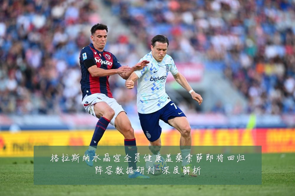 格拉斯纳水晶宫全员健康盖桑索萨即将回归阵容数据研判-深度解析